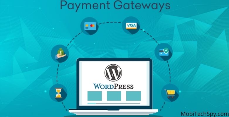 Ways to Accept Payments through a WordPress Website